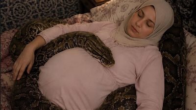 امرأة حامل بجوار أفعاها الأليفة الضخمة كل ليلة