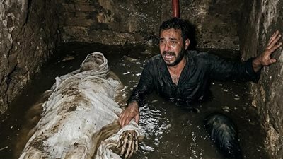 قلب ميت بقلم حماده هيكل
