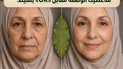 سحر الغار 2026.. كيف تعيد هذه الأوراق بناء الكولاجين وتشد البشرة مهما مر الزمن؟