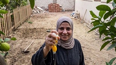 جارتي الجديدة كانت بتدفن بيض نيئ