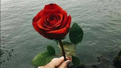 رواية غرام الأكابر منال عباس