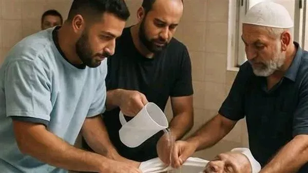 لمحة نيوز